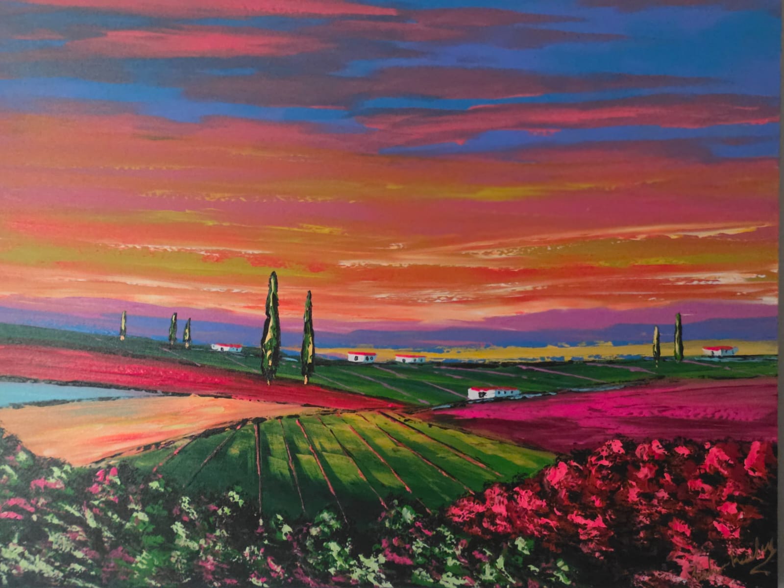 sunset dream sunset dream